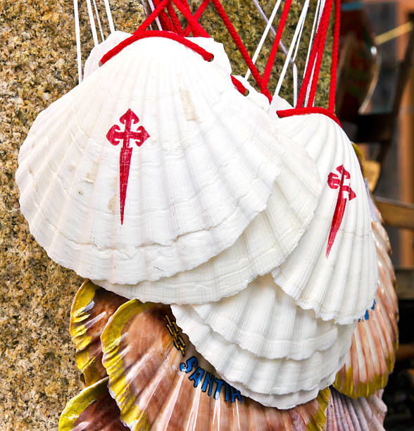 Inicio sobre nosotros